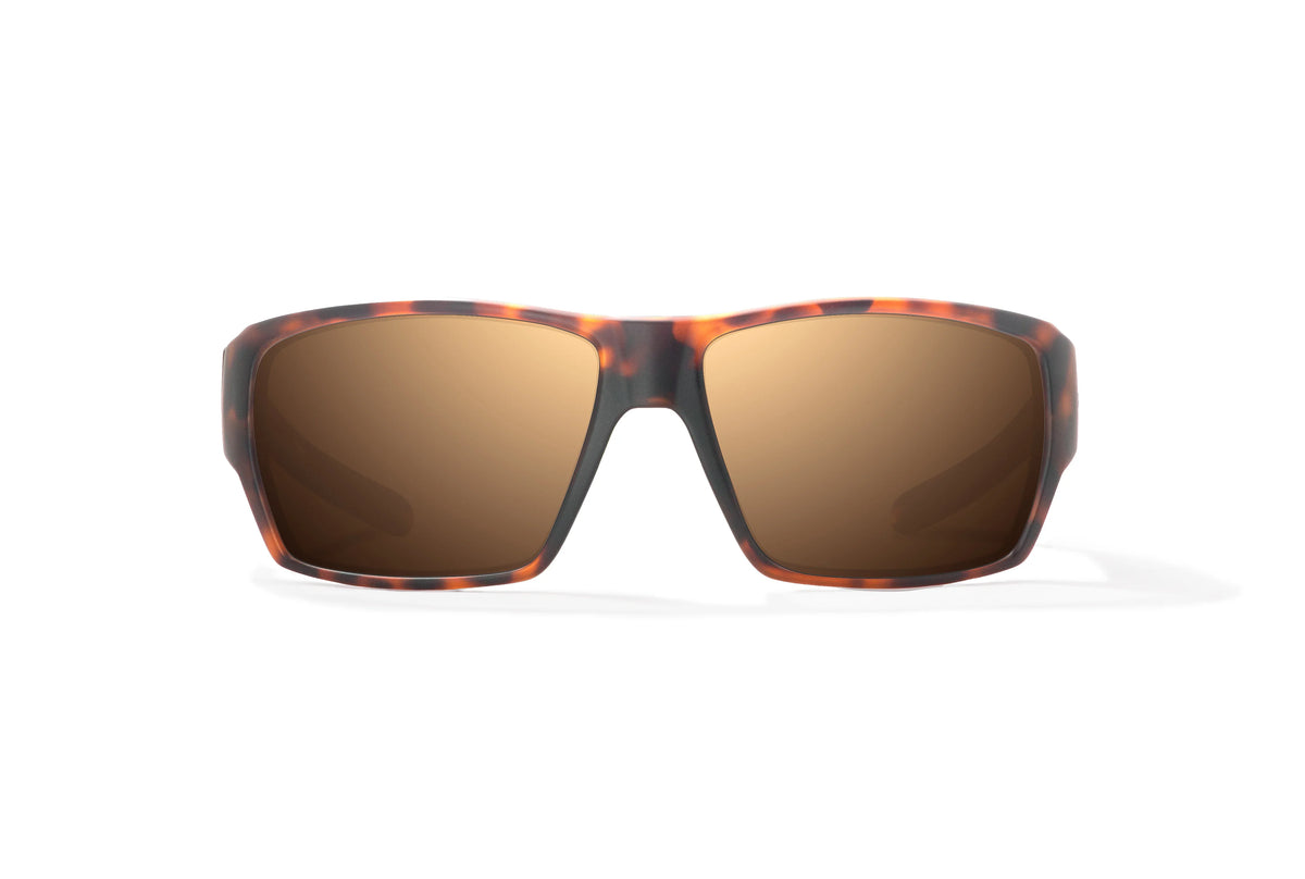 Vega Snglasses ベガ サングラス Vega Sunglasses / – Bajio, Inc