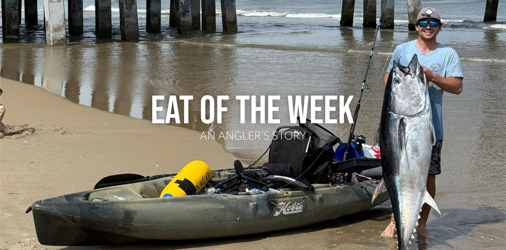 Beach Bluefin