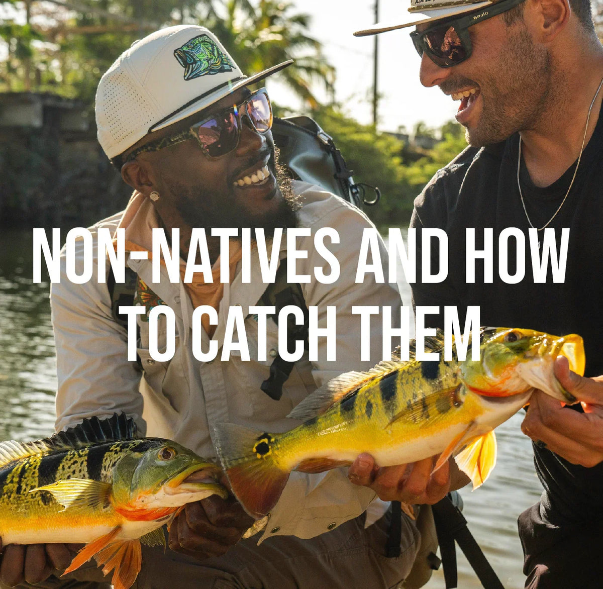 Invasive Fish: Non-Natives and How to Catch Them – Bajio, Inc