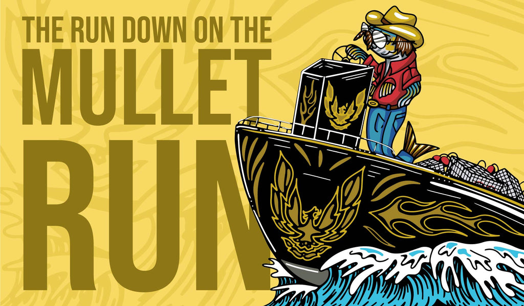 Mullet Run