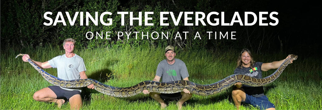 Ambassador Profile: Anton (Python Man)