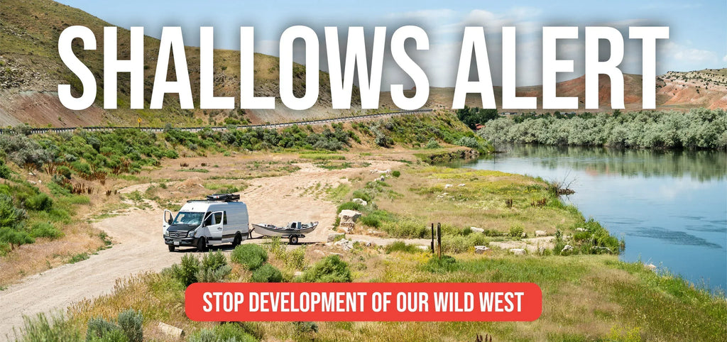 Shallows Alert: Roadless Rule