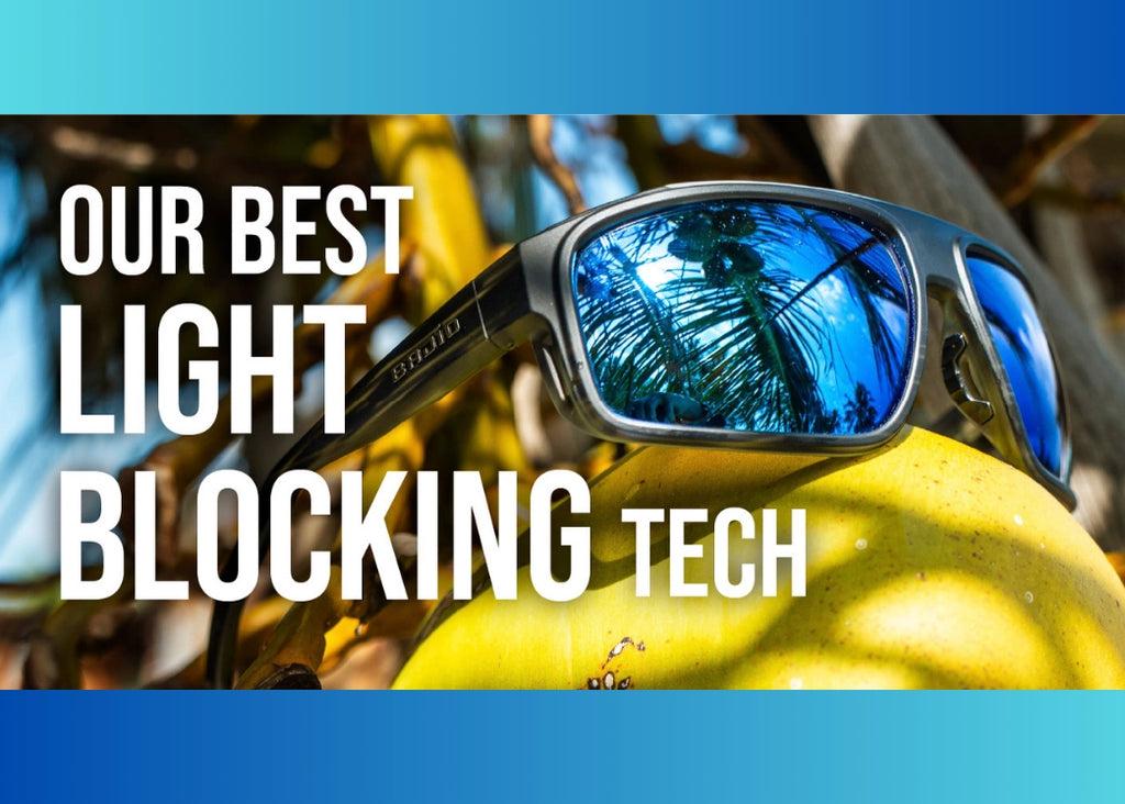 Bales Beach Sunglasses / Blue Light Blocking / – Bajio, Inc